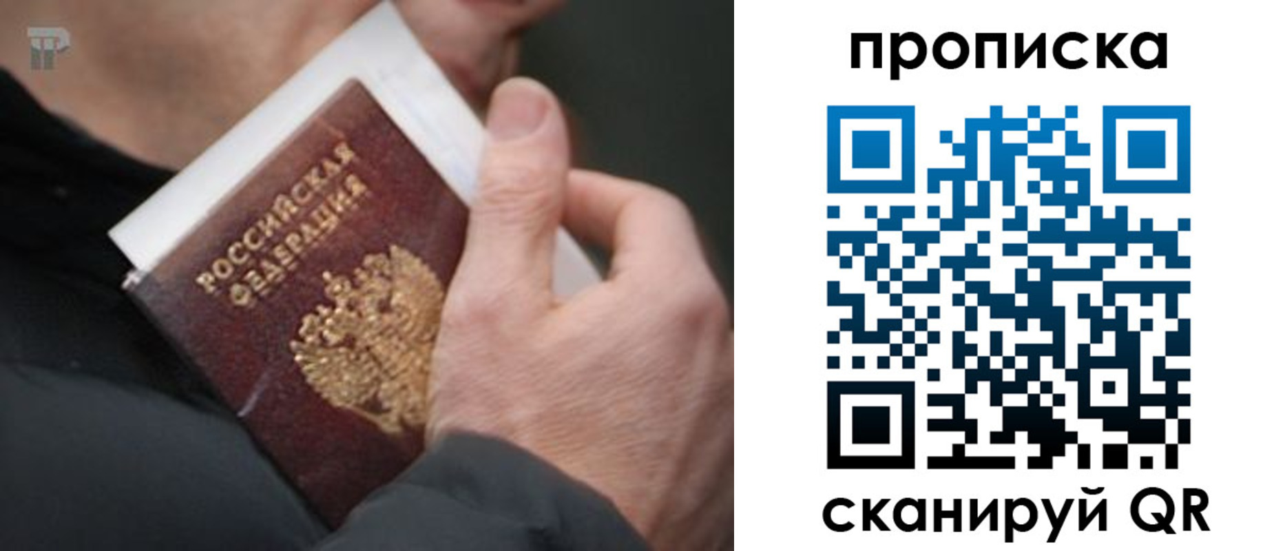 временная регистрация гарантия в Курской области